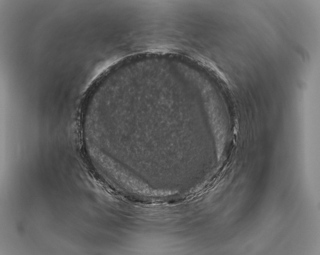 X0000112351256200909031842