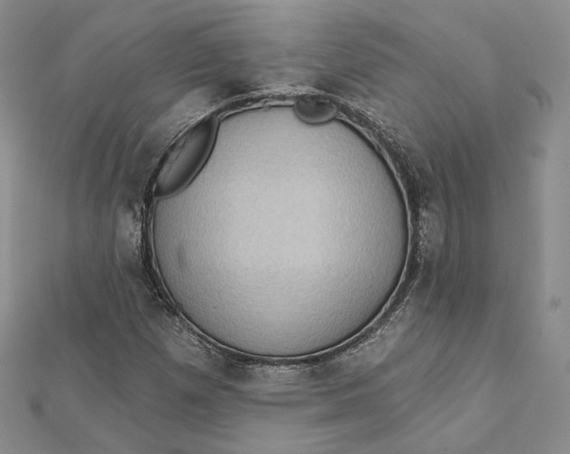 X0000112351257200909031842