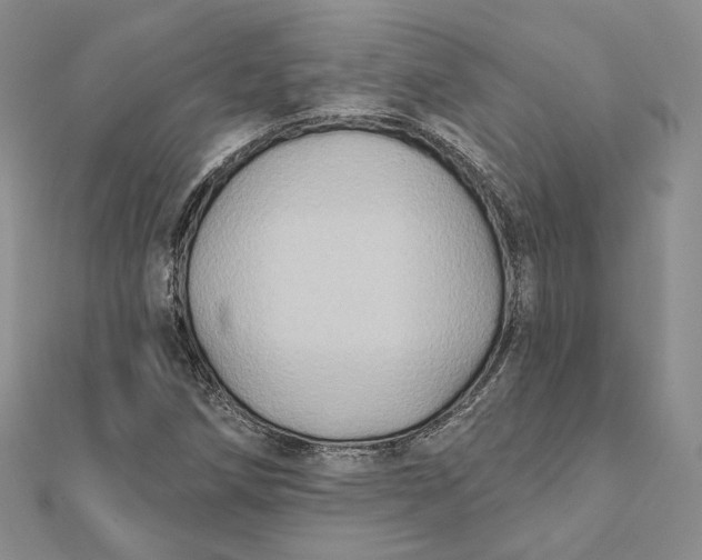 X0000112351258200909031842