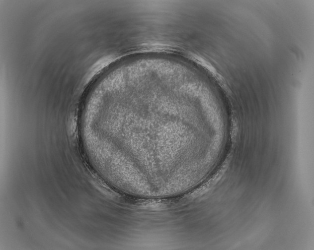 X0000112351259200909031842