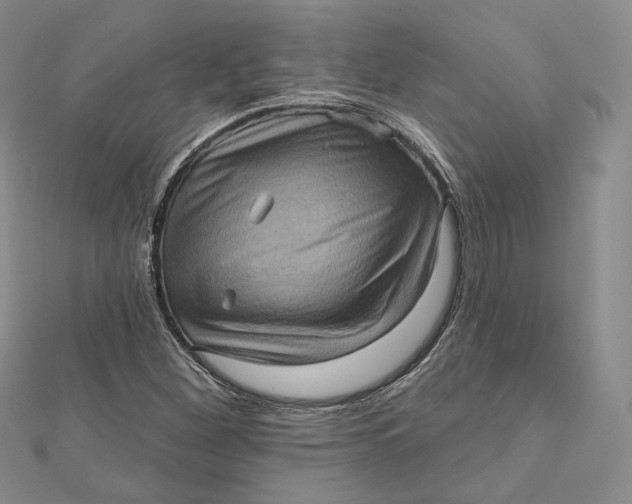 X0000112351260200909031841