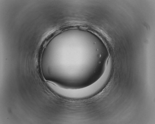 X0000112351261200909031841