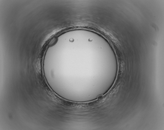 X0000112351262200909031841