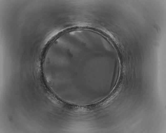 X0000112351263200909031841