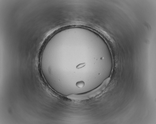 X0000112351264200909031841