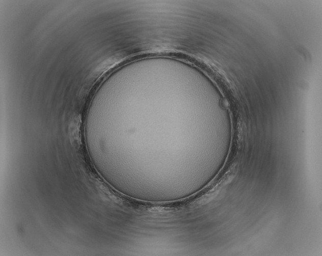 X0000112351265200909031841