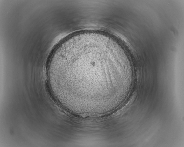 X0000112351267200909031841