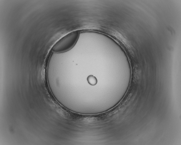 X0000112351268200909031841