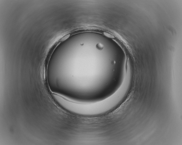 X0000112351269200909031841