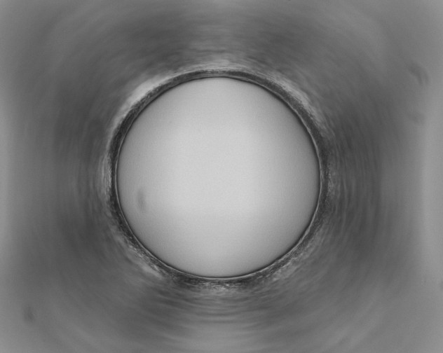 X0000112351270200909031841