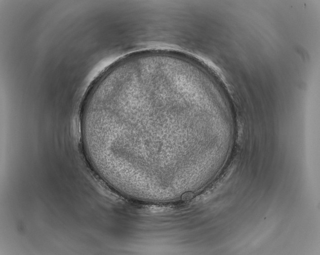 X0000112351271200909031841