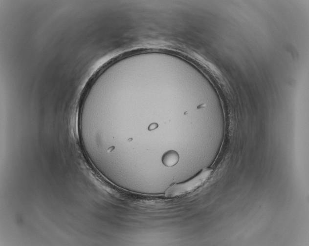 X0000112351272200909031841