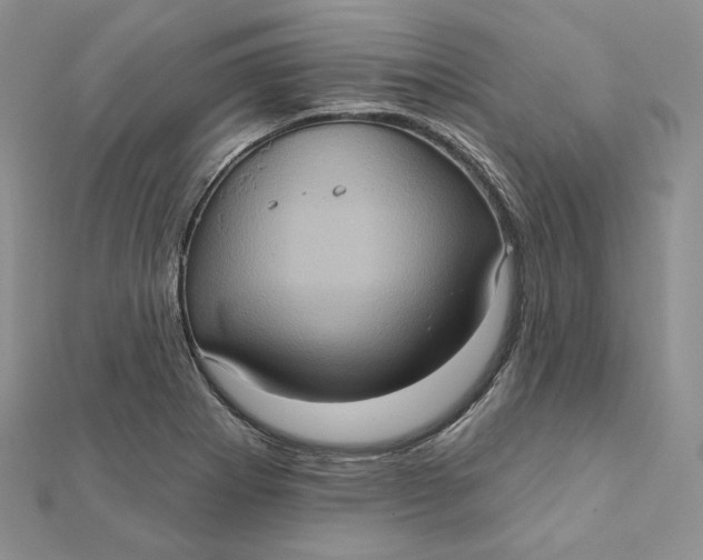 X0000112351273200909031841