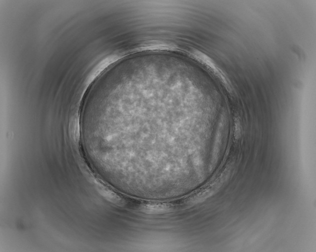 X0000112351274200909031841