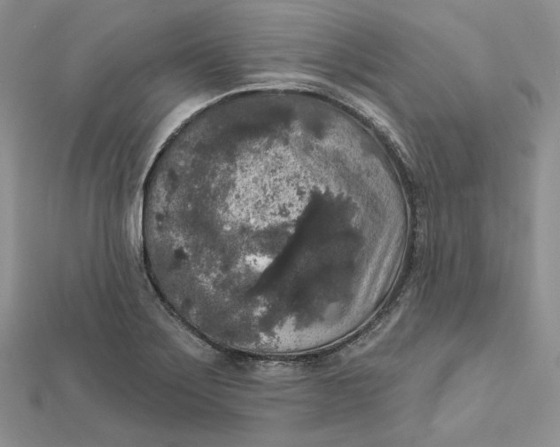 X0000112351275200909031841