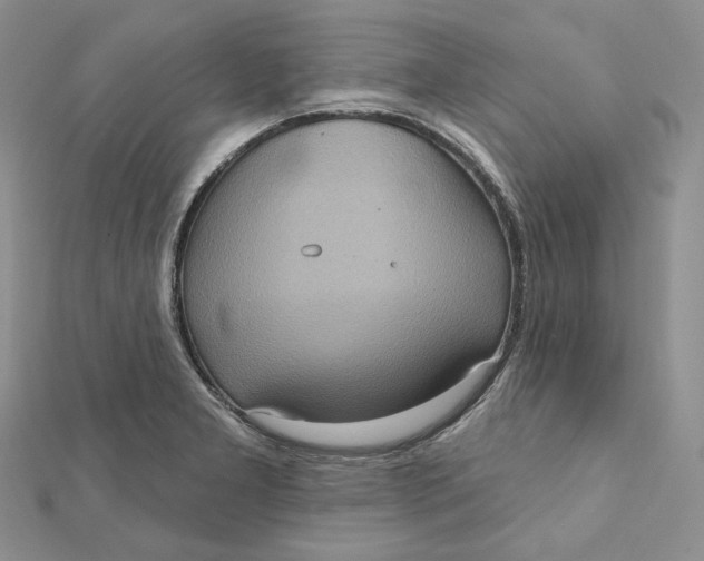 X0000112351277200909031841