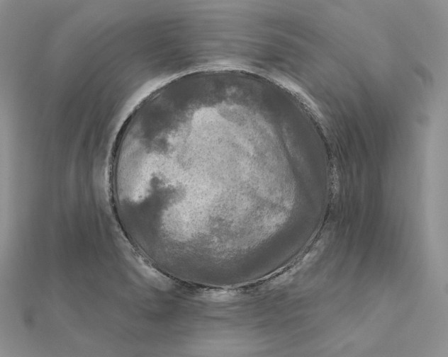 X0000112351278200909031841