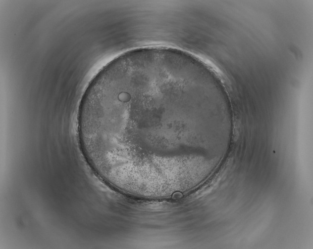 X0000112351279200909031841