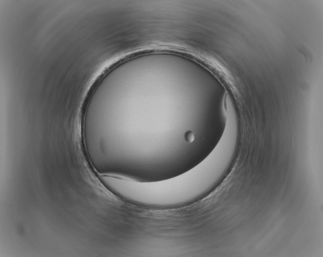 X0000112351280200909031841