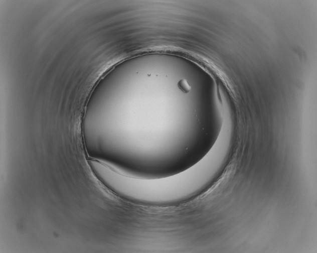 X0000112351281200909031841