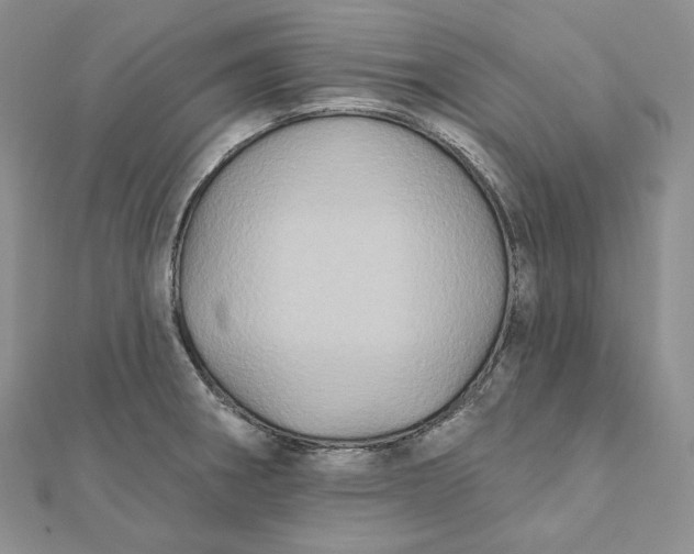 X0000112351282200909031841