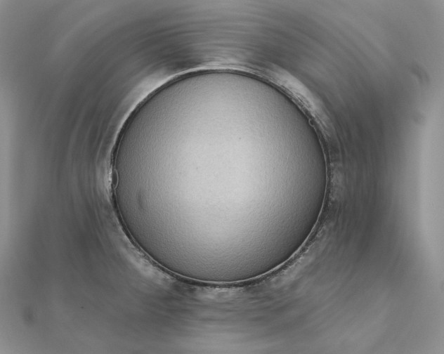 X0000112351284200909031841