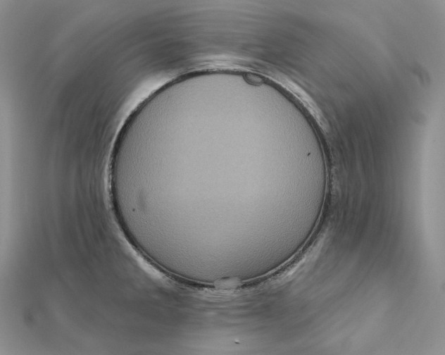 X0000112351285200909031841