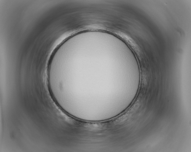 X0000112351286200909031841