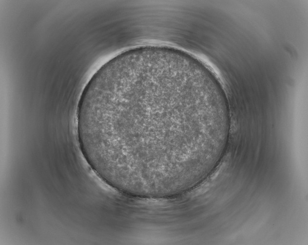 X0000112351287200909031841