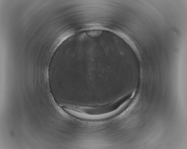 X0000112351289200909031841