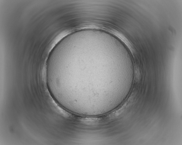 X0000112351290200909031841