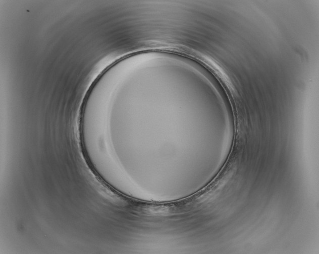 X0000112351291200909031841