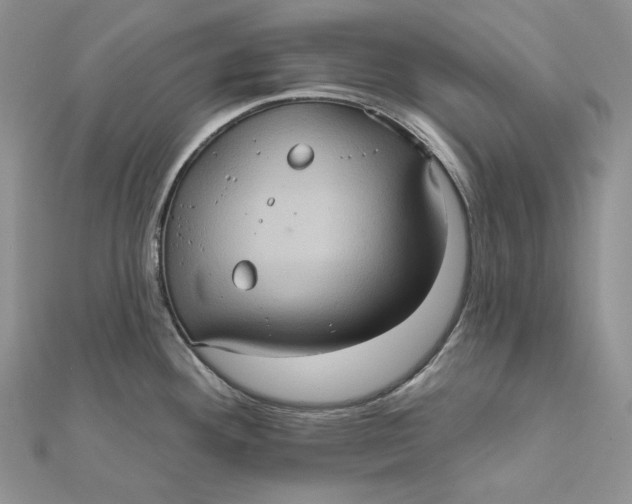 X0000112351292200909031841