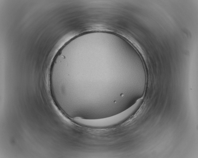 X0000112351293200909031841