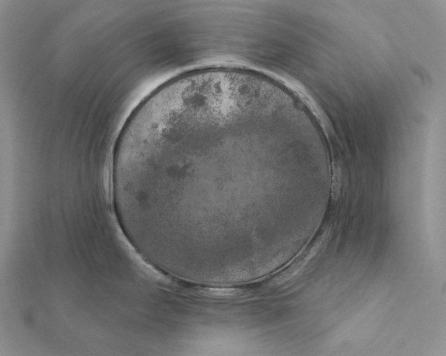 X0000112351295200909031841