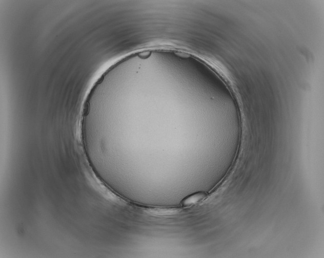 X0000112351296200909031841