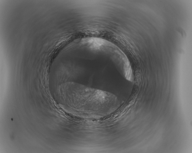 X0000112351297200909031840