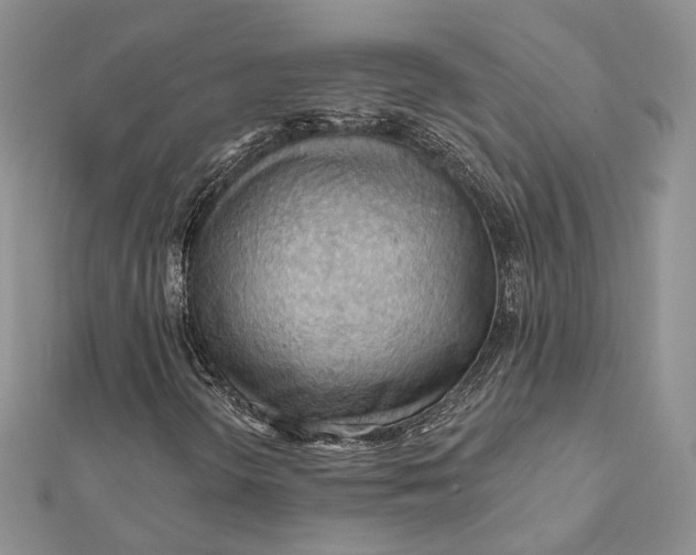 X0000112351298200909031840