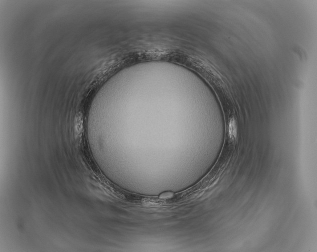 X0000112351299200909031840