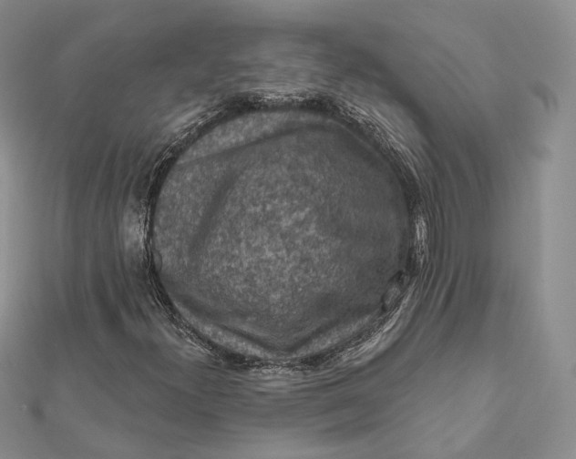 X0000112351300200909031840