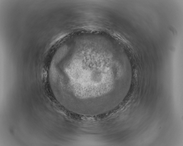 X0000112351302200909031840