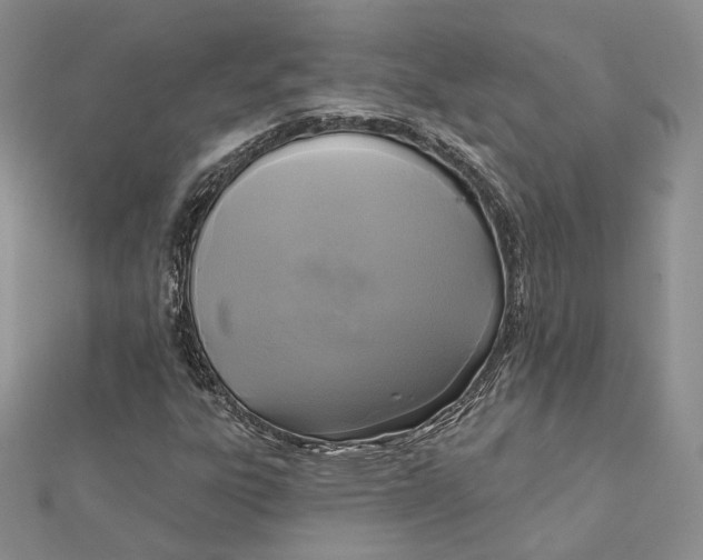 X0000112351303200909031840