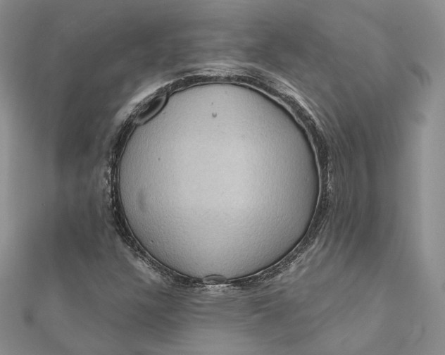 X0000112351304200909031840