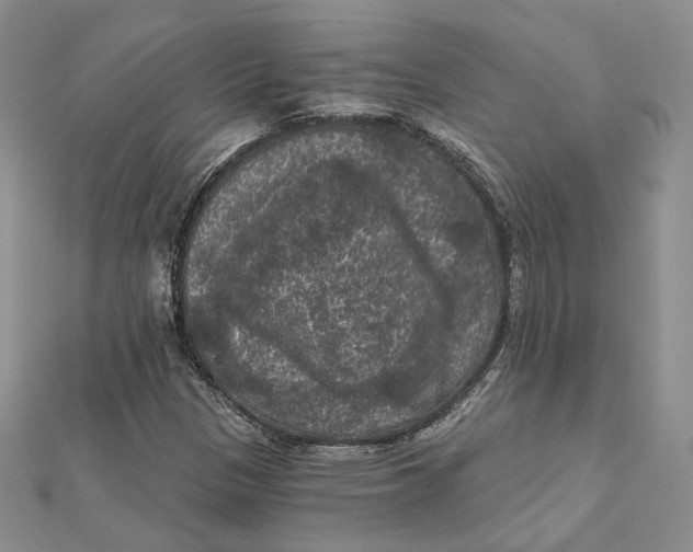 X0000112351305200909031840