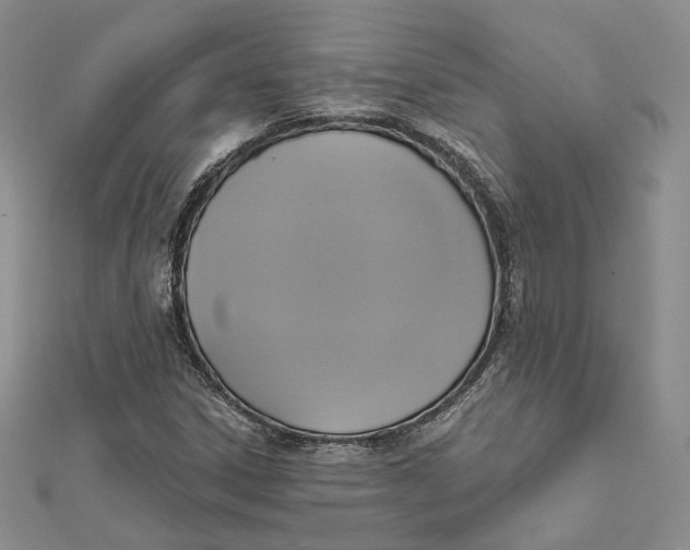 X0000112351306200909031840