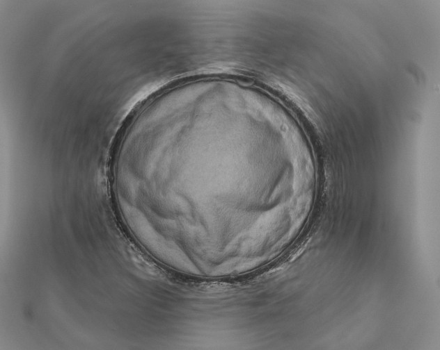 X0000112351308200909031840