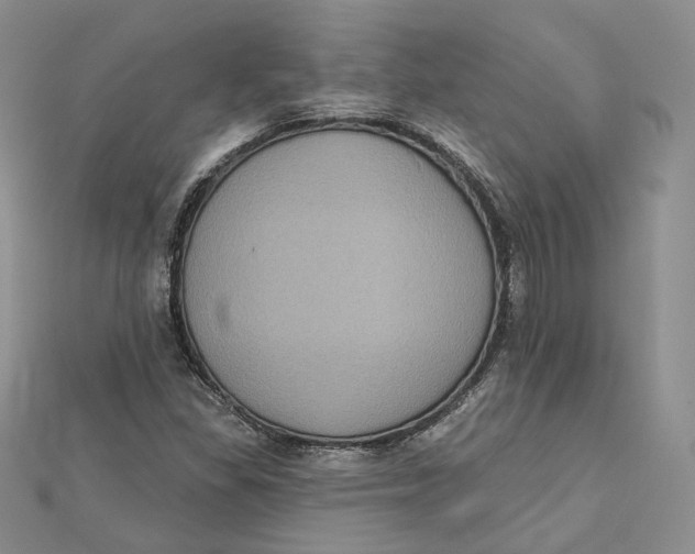 X0000112351309200909031840