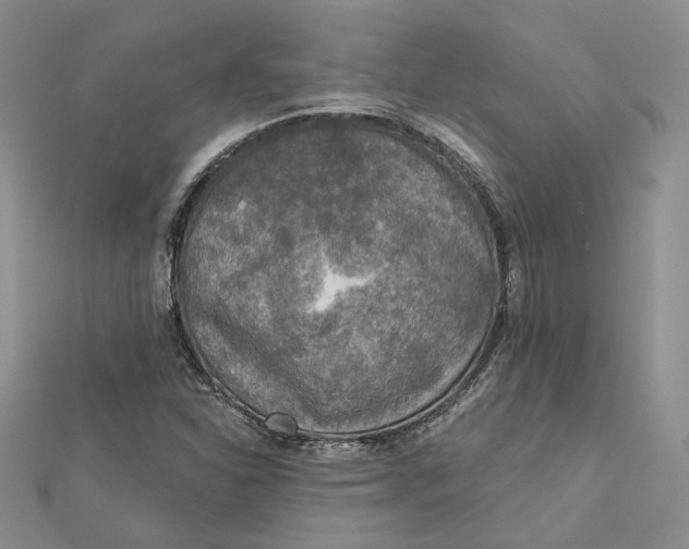 X0000112351310200909031841