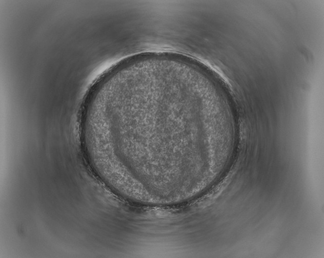 X0000112351311200909031841