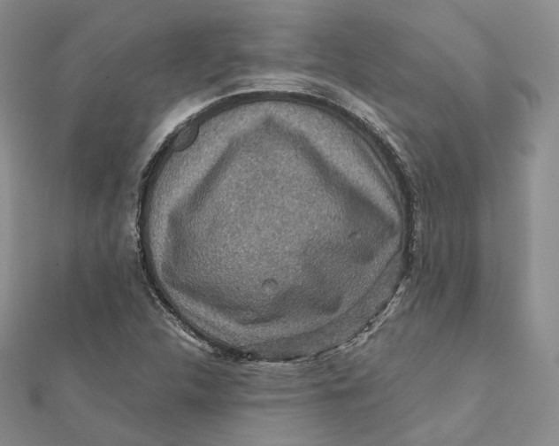 X0000112351312200909031841